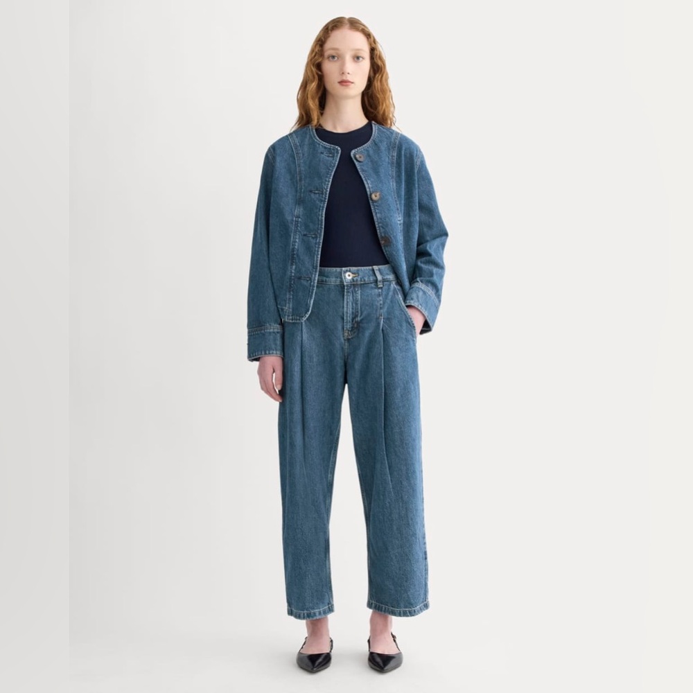 Everlane PLEATED BARREL JEAN size 29 denim trousers high rise